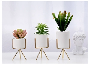 Detailed view of three artificial succulents in white ceramic pots with gold metal stands