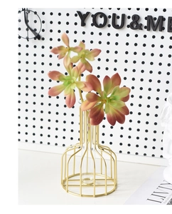 Détail du vase nordique en métal doré avec éprouvette en verre et succulentes