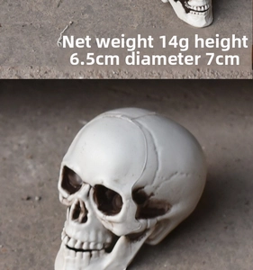 Realistic Halloween skull prop detail with dimensions: 6.5cm height and 7cm diameter