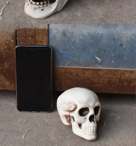Detailed realistic resin skull model No. 8 shown next to a smartphone for size reference