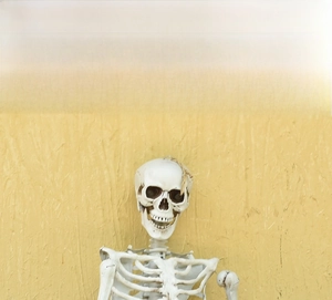 Detailed view of realistic Halloween skeleton prop with full bone structure for decor