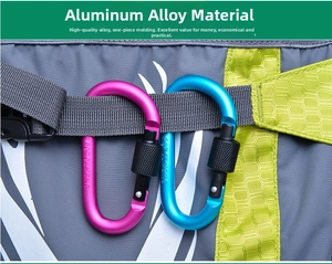Macro detail of D-shaped aluminum locking carabiners in blue and pink for backpacks