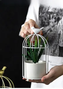 Detailed close-up of a white birdcage-shaped succulent metal stand with a ceramic pot