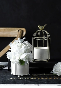 Detailed view of luxury gold birdcage iron plant stand with white ceramic inner pot