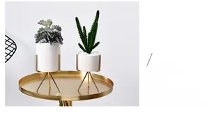 Detail of two artificial succulents in white ceramic pots with gold tripod metal stands