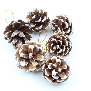 Lot de 6 pommes de pin de Noël naturelles avec bords blancs enneigés et fils dorés