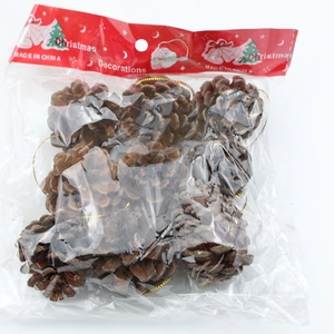 Pommes de pin de Noël naturelles avec cordons dorés dans leur emballage de vente
