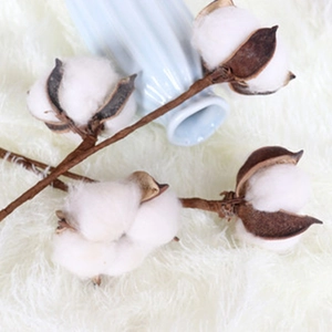 Handmade dried cotton branches with white bolls on a soft plush rug for home decor