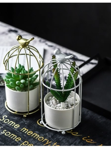 Detail of birdcage iron plant stands with white ceramic pots and green succulents