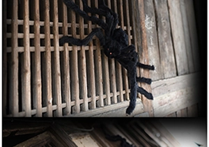 Large black plush spider with red eyes on a wooden fence for Halloween decoration