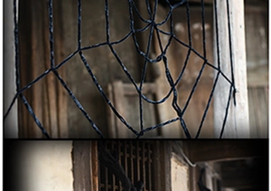 Close-up of black triangular spider web texture for Halloween party atmosphere