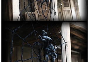 Detailed view of giant black furry spider with red eyes on large spider web decoration