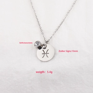 Pisces zodiac necklace with 6mm birthstone and 15mm mirror stainless steel pendant
