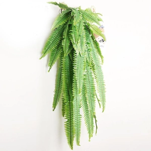 Close-up of artificial Boston fern with dense green fronds for wall decoration