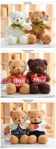 Vistas detalladas de ositos de peluche estilo universitario y trajes de flores con corazones