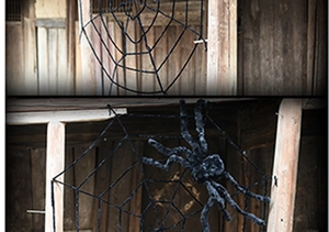 Close-up of a large black plush spider on a triangular cobweb for Halloween decor