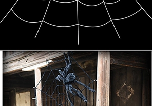 Detail of giant black furry spider and realistic spider web on a rustic wooden porch