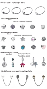Nahaufnahme von S925 Silber DIY Armband Charms inklusive Eulen, Blumen und Seestern
