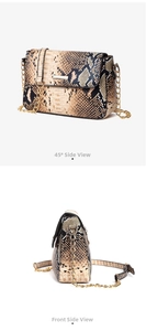 Detailed views of faux snake skin handbag with golden chain strap and metal trim