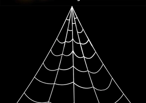 Detailed pattern of a large white triangular spider web on a solid black background