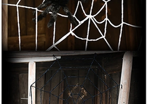 Close-up of a giant black hairy spider on white and black webs for Halloween decor