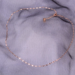 Elegant Titanium Steel Necklace 18K Rose Gold Plated Lip Chain For Women Simple Minimalist Fashion Jewelry Accessories