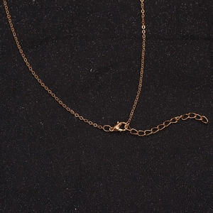 Detailed close-up of golden necklace lobster clasp and extension chain on black backdrop