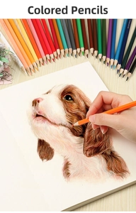 Detail of multi-colored wooden pencils showing realistic puppy sketch on drawing book