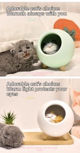 Detail of spherical pet house night lights with cat figurine and wooden tripod base