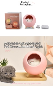 Pink pet house night light with wooden legs, USB cable, manual and color gift box set