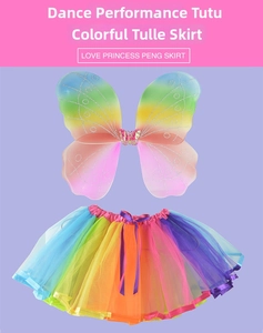 Close-up of rainbow layered tulle tutu skirt with matching colorful butterfly wings set