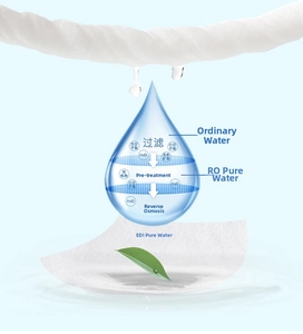 Detail showing the EDI and RO pure water filtration process for portable wet wipes