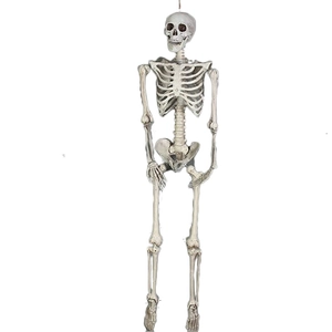 Life-size realistic human skeleton model for Halloween prop and horror decor