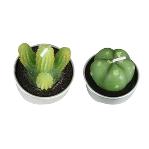 Realistic succulent and cactus shaped candles with green finish in silver metal holders