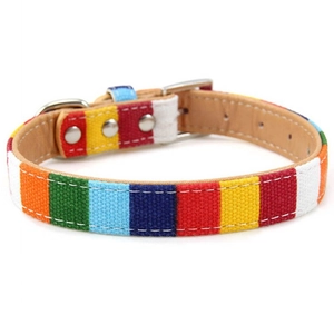 Macro detail of rainbow canvas pet collar with premium brown leather lining and silver buckle