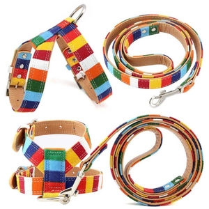 Detail of colorful striped canvas pet harness and leash set with durable metal buckles