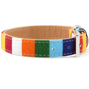 Close-up of rainbow canvas pet collar with brown leather lining and silver metal buckle