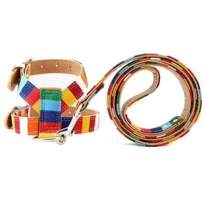 Detail view of rainbow striped canvas pet harness and leash set with premium metal hardware