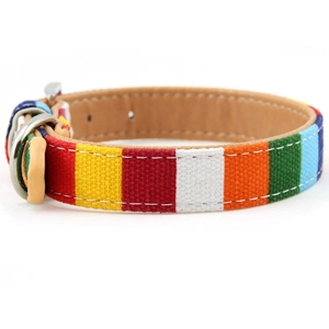 Detailed macro view of rainbow striped canvas pet collar with premium leather lining and metal buckle