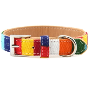 Detailed close-up of rainbow striped canvas pet collar with durable metal buckle and D-ring