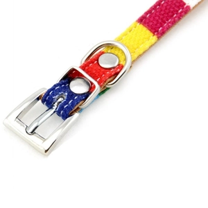 Detail of rainbow canvas pet collar with durable polished metal buckle and D-ring