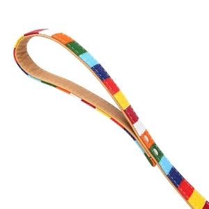 Detail of colorful rainbow woven pet leash handle with brown leather padded lining