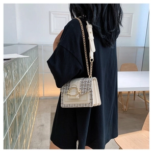 Detail of tweed and leather crossbody bag with gold chain and oval buckle closure
