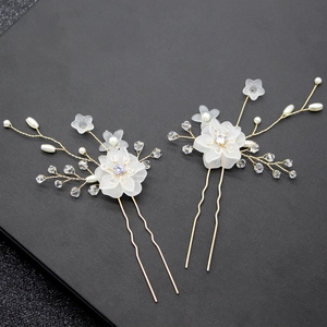 Detail von Braut-Haarnadeln-Set mit handgefertigten Perlen und Blumenkristallwebung