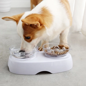 Ciotole doppie rialzate per animali con base ergonomica per gatti e cani di piccola taglia