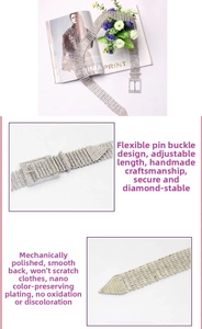 Detail of silver ten-row rhinestone belt with adjustable needle buckle and polished finish