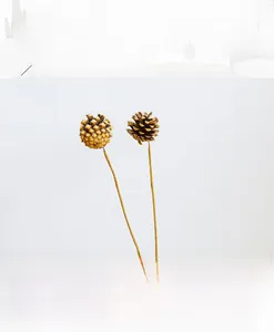 Close-up of two natural brown dried pine cone branches for zen home decor arrangements