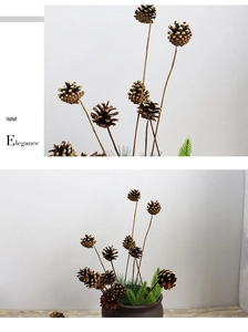 Detail of natural dried pine cones on wooden stems in a minimalist black ceramic vase