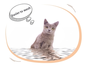 Detail view of a 3D cat plush pillow highlighting the easy-to-wash fabric and features