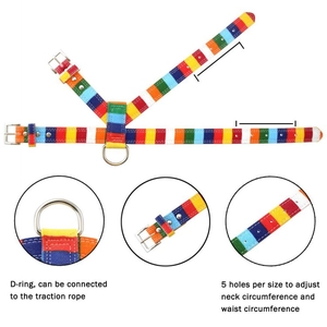 Detail view of rainbow canvas pet harness with 5-hole adjustment and metal D-ring buckle